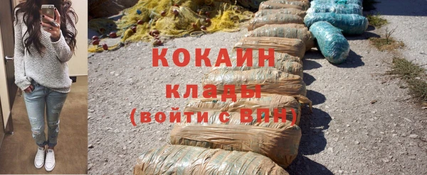 индика Лихославль