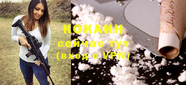 гашик Липки