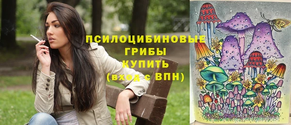 индика Лихославль