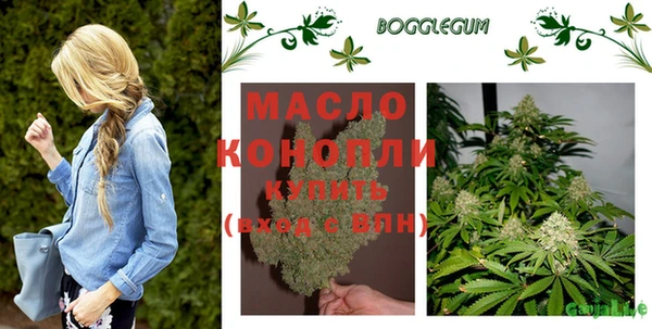 индика Лихославль