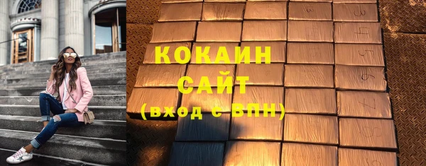 индика Лихославль