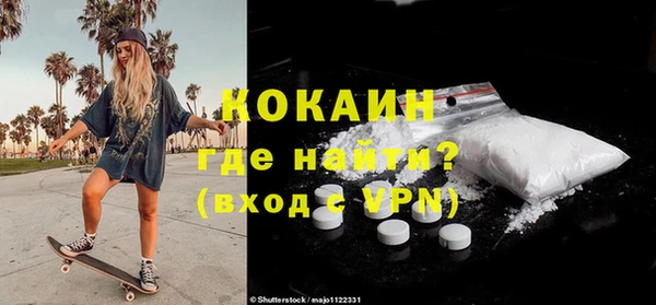 индика Лихославль
